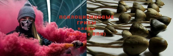 не бодяженный Абаза