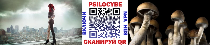 купить наркоту  Ува  Псилоцибиновые грибы мицелий 
